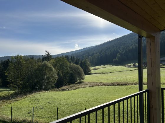IMG 0767